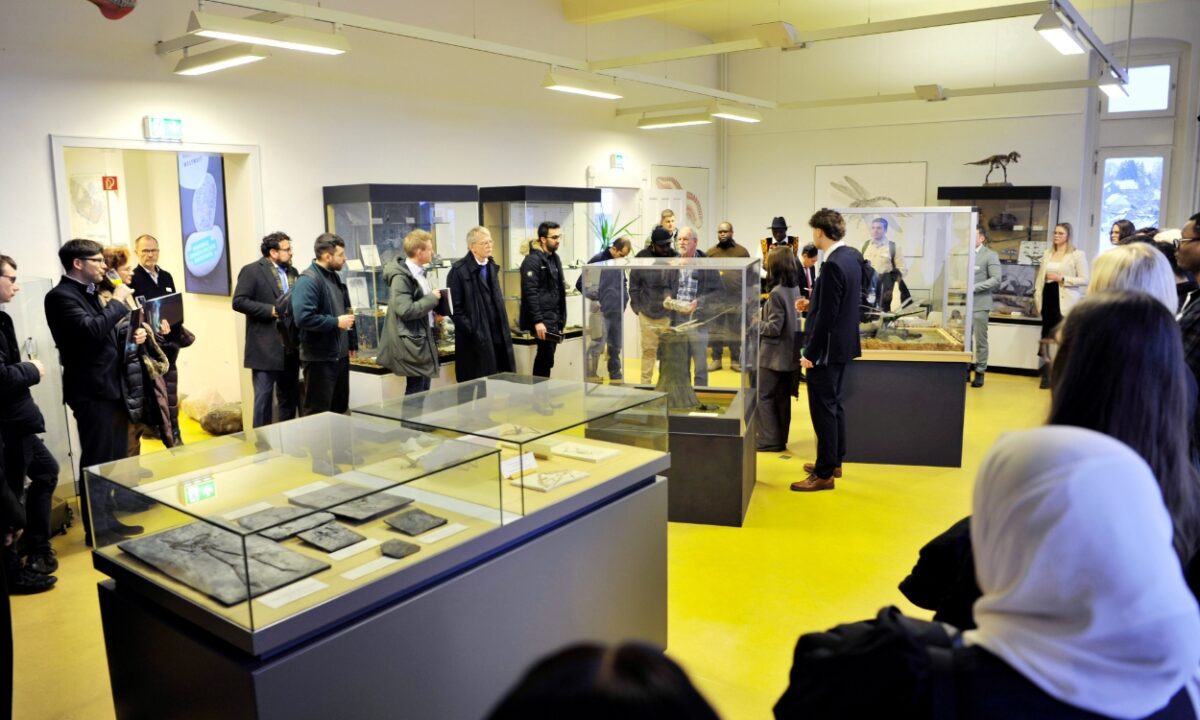 TANIOBIS vergibt Deutschlandstipendium